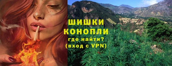 гидропоника Богданович