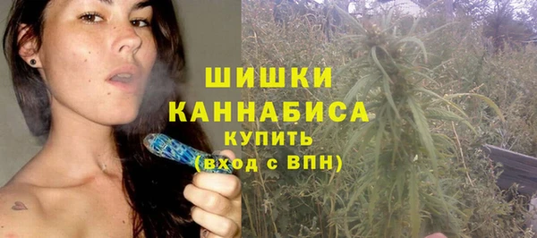 гидропоника Богданович