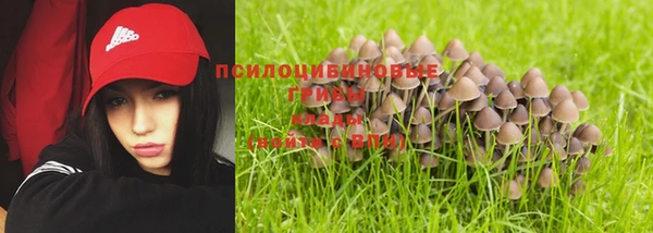 гидропоника Богданович