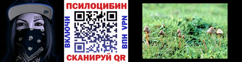Псилоцибиновые грибы мицелий  купить наркоту  Киржач 